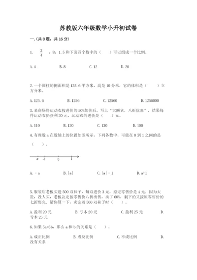 苏教版六年级数学小升初试卷及答案【夺冠】.docx