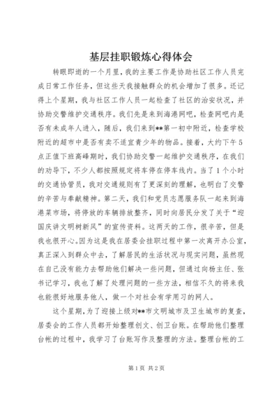 基层挂职锻炼心得体会.docx