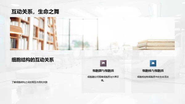探索细胞之谜