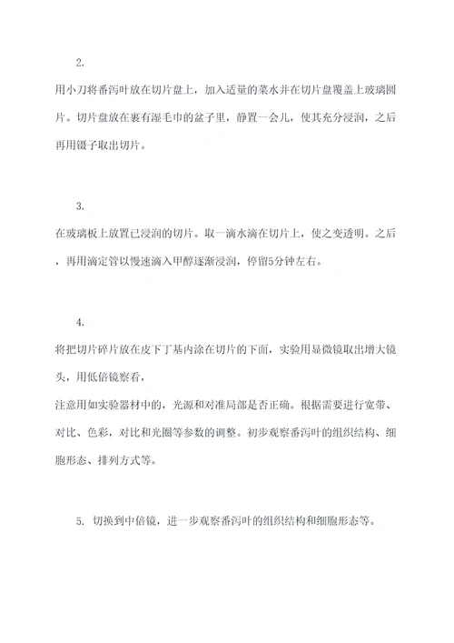 番泻叶显微镜实验报告