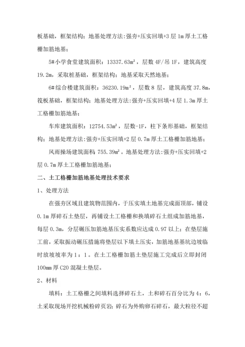 土工格栅综合标准施工专业方案.docx