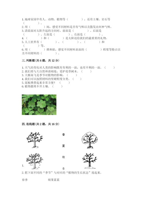 教科版小学二年级上册科学期末测试卷及完整答案【历年真题】.docx