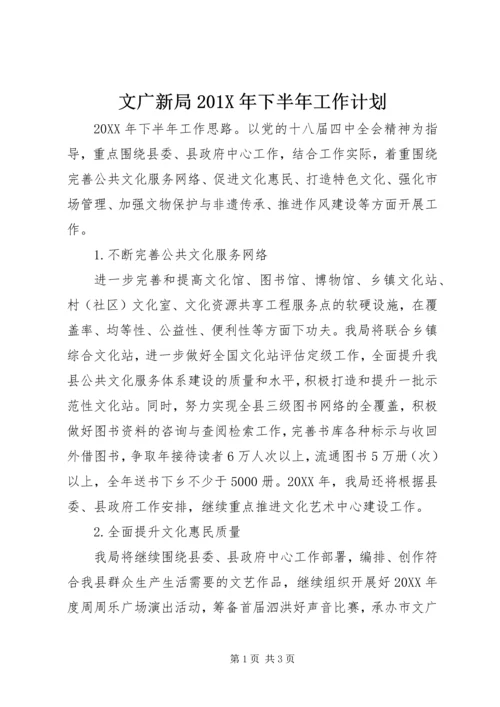 文广新局201X年下半年工作计划.docx