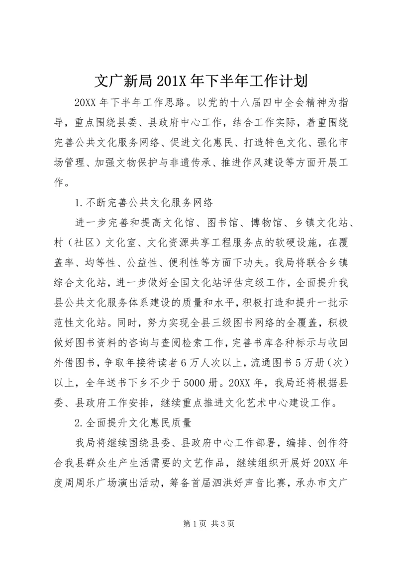 文广新局201X年下半年工作计划.docx