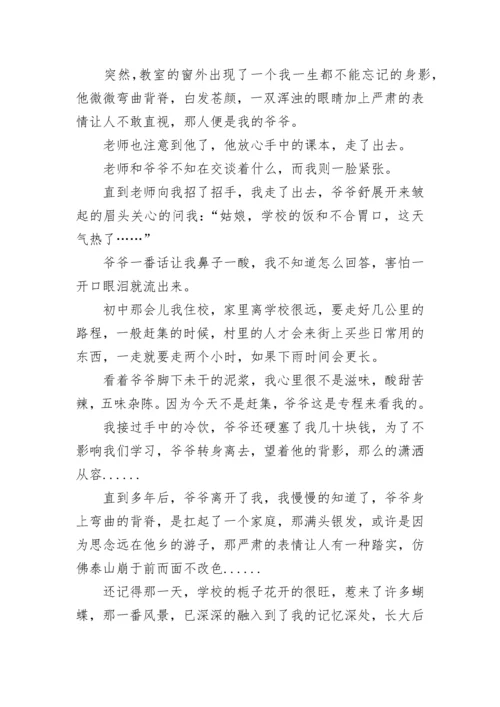描写我们不负青春的满分作文.docx
