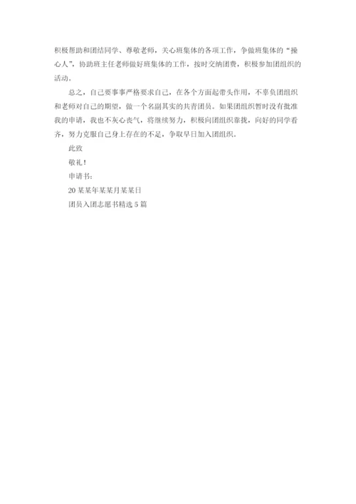 团员入团志愿书精选5篇.docx