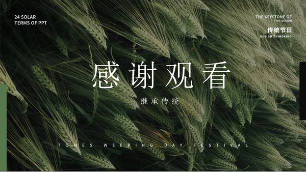 绿色大气清新绿植清明节主题PPT模板