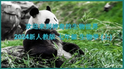 第一单元第三章从细胞到生物体（复习课件）-七年级生物上册同步教学精制课件（人教版2024）(共44张