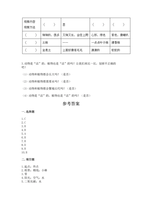 教科版一年级上册科学期末测试卷有完整答案.docx