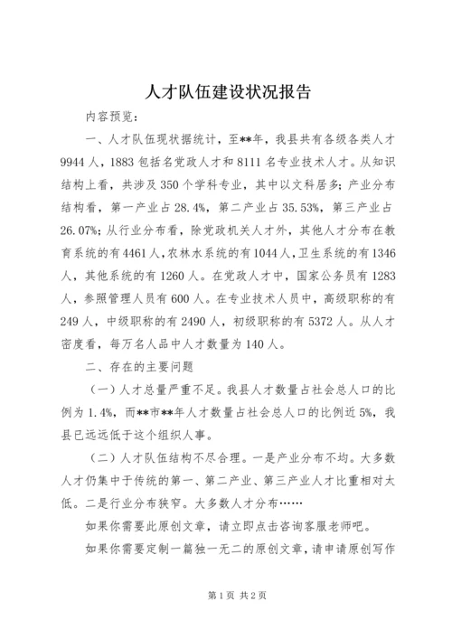 人才队伍建设状况报告.docx