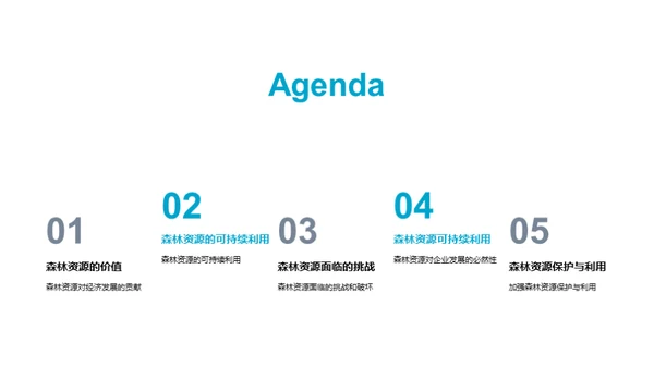 森林宝藏：可持续之道