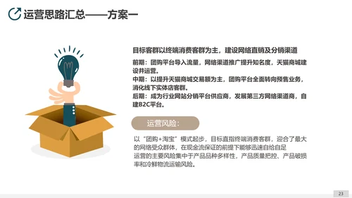 互联网平台直播电商运营方案PPT模板