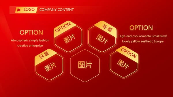 爱国红色喜庆背景欢迎领导莅临指导动态PPT