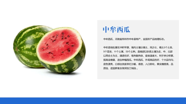 郑州城市旅游介绍宣传PPT