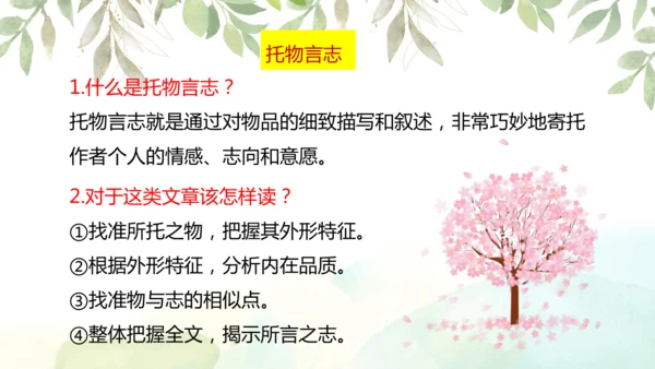 第19课 一棵小桃树 课件(共24张PPT)