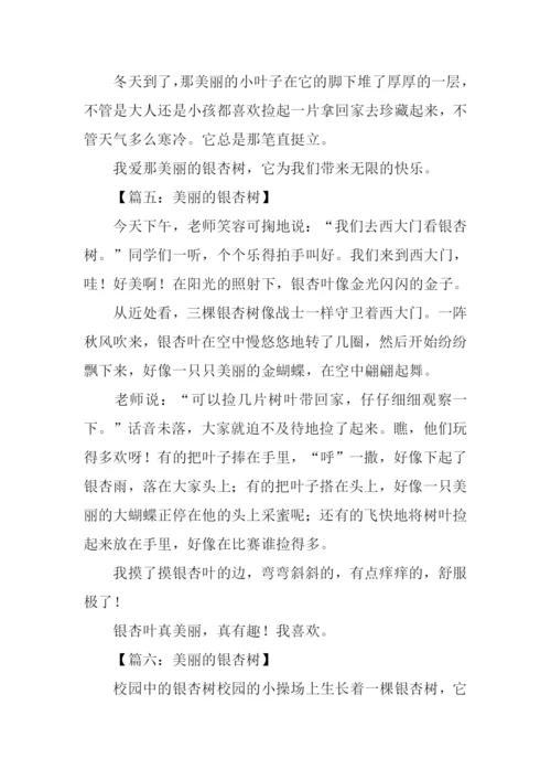 美丽的银杏树作文350字.docx