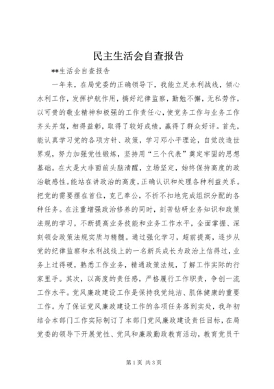 民主生活会自查报告 (13).docx