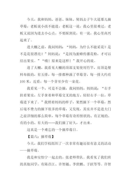 摘草莓的作文300字.docx