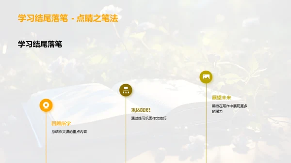 写作的艺术与习惯