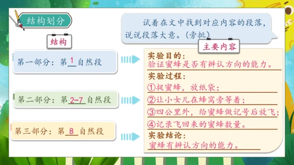 【核心素养】部编版语文三年级下册-14. 蜜蜂 第1课时（课件）