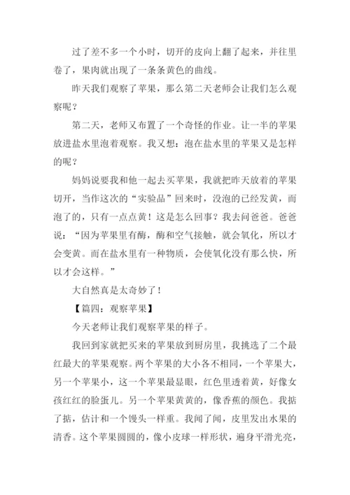小学生观察作文苹果.docx