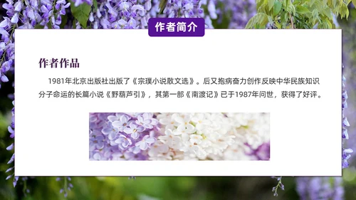 实拍风紫藤萝瀑布七年级语文课件PPT模板
