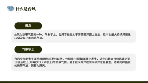 台风来袭，防台风安全教育培训通用PPT模版
