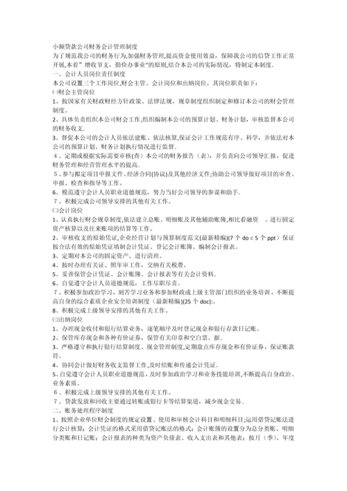 小额贷款公司财务会计管理制度.docx