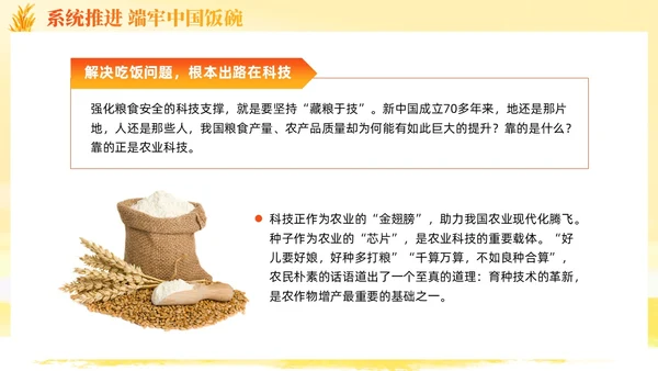 大学生形势与政策保障粮食安全的中国策ppt课件党建
