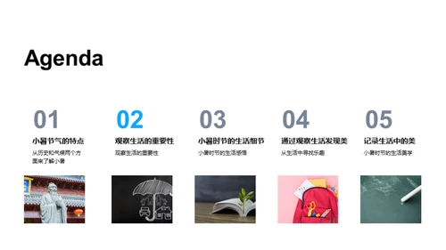 小暑生活，美在其中