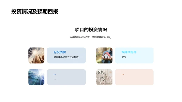 房产项目全程分析