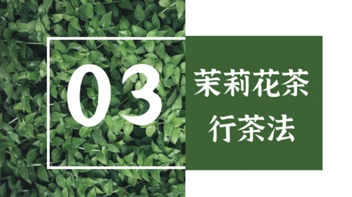 茉莉花茶满墙绿色植物通用PPT模板
