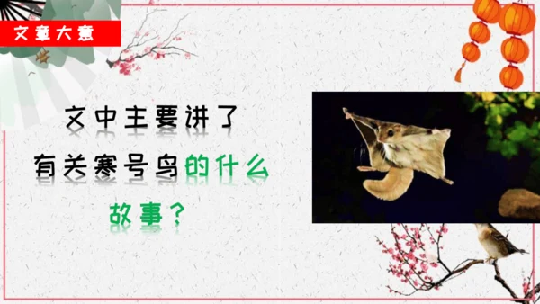 第13课《寒号鸟》课件