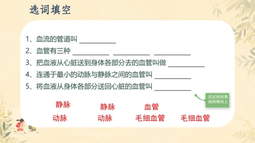 初中生物学人教版（新课程标准）七年级下册4.2 血流的管道──血管课件(共16张PPT)