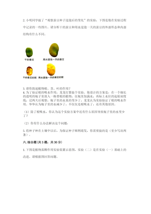 科学四年级下册第一单元植物的生长变化测试卷精品（易错题）.docx