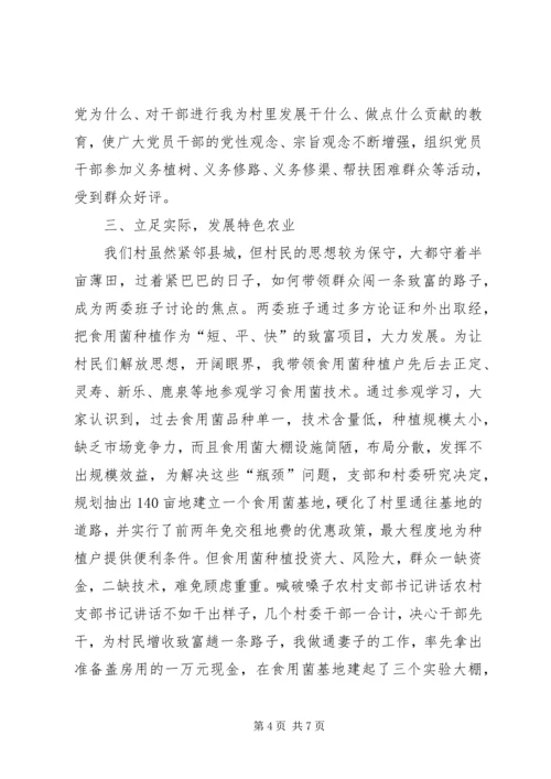 农村支部书记讲话 (7).docx