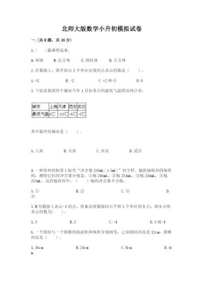 北师大版数学小升初模拟试卷（考点梳理）.docx