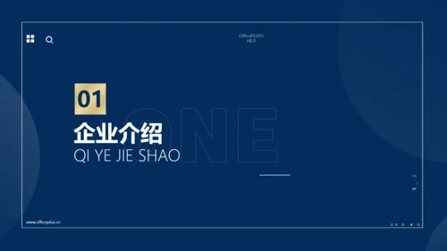 商务风蓝金总结汇报