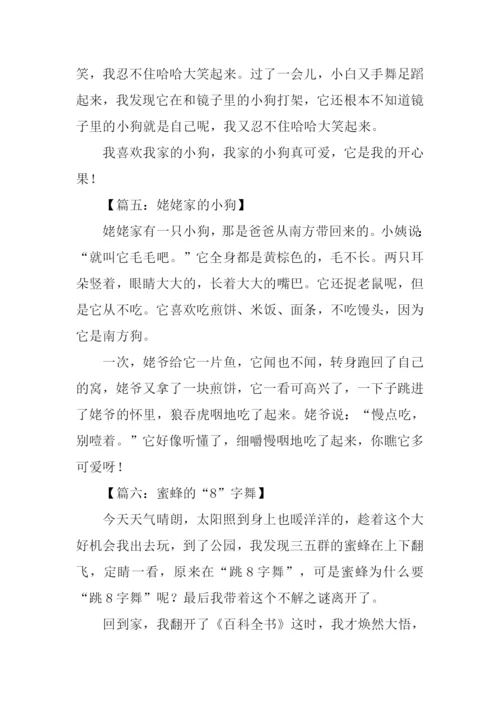 小动物作文350字.docx