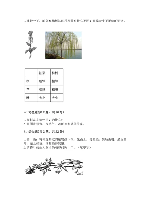 教科版科学一年级上册第一单元《植物》测试卷精品（历年真题）.docx