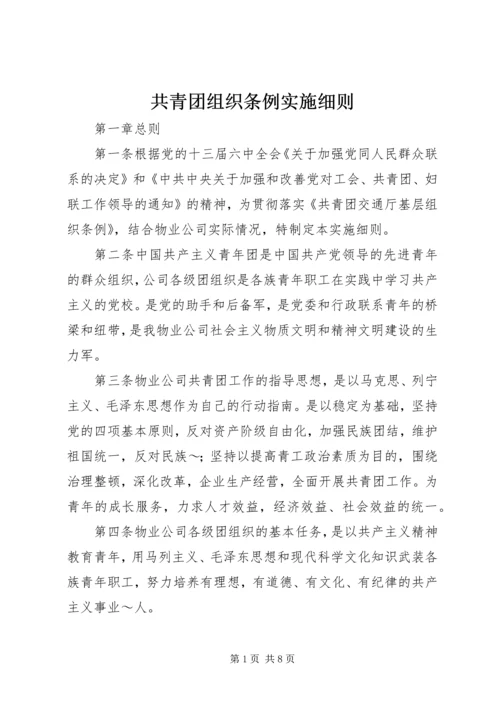 共青团组织条例实施细则精编.docx