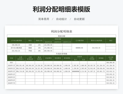 利润分配明细表模版