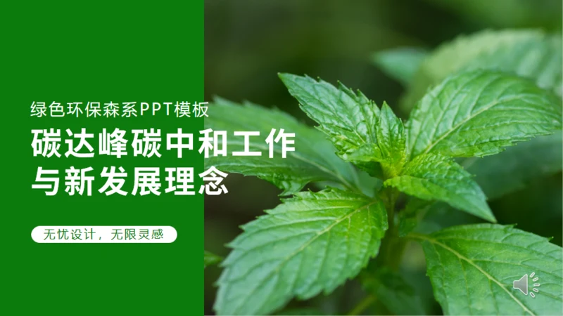 碳达峰碳中和低炭经济环境保护通用PPT模板