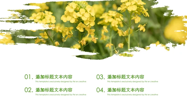 春天乡村旅游油菜花风景油菜花田PPT模板