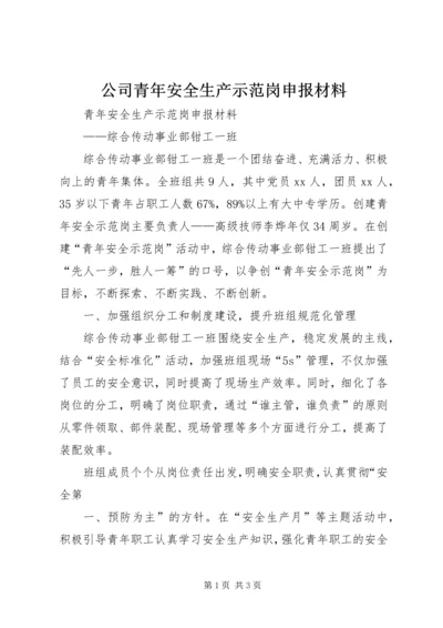 公司青年安全生产示范岗申报材料 (5).docx