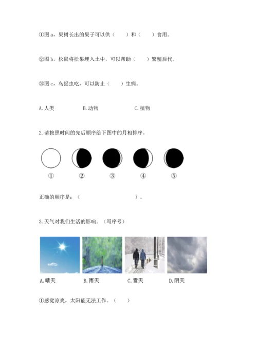 教科版科学二年级上册《期末测试卷》精品（含答案）.docx