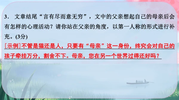 17《猫》课件
