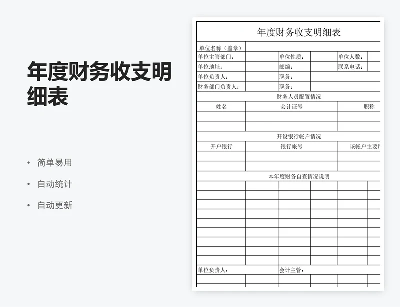 年度财务收支明细表
