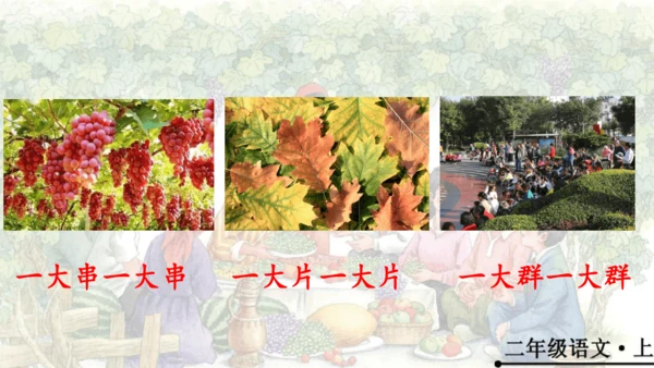 11 葡萄沟   公开课   课件