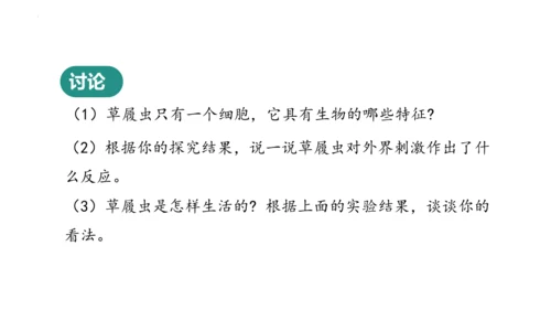 人教版七年级生物上册（2024）1.3.4 单细胞生物 课件(共22张PPT)+视频素材